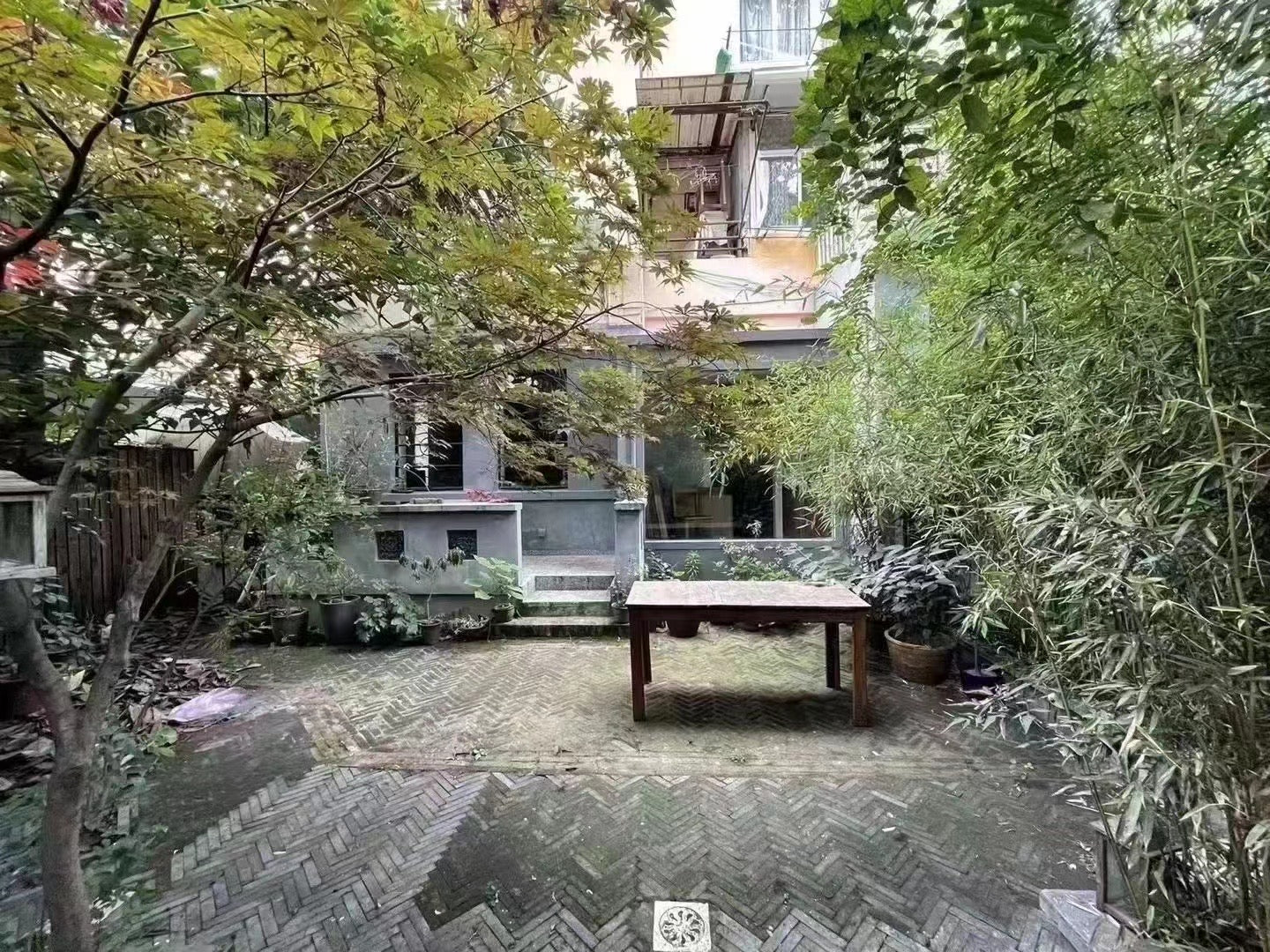 garden office at south shanxi rd 陕西南路老洋房工作室