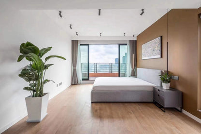 Penthouse 4br with terrace 浦东世纪公园顶楼4房带露台